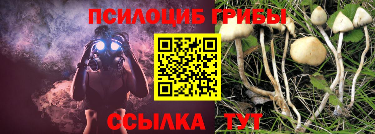 Галлюциногенные грибы GOLDEN TEACHER  Галлюциногенные грибы прущие грибы  Вход с VPN  Коммунар 