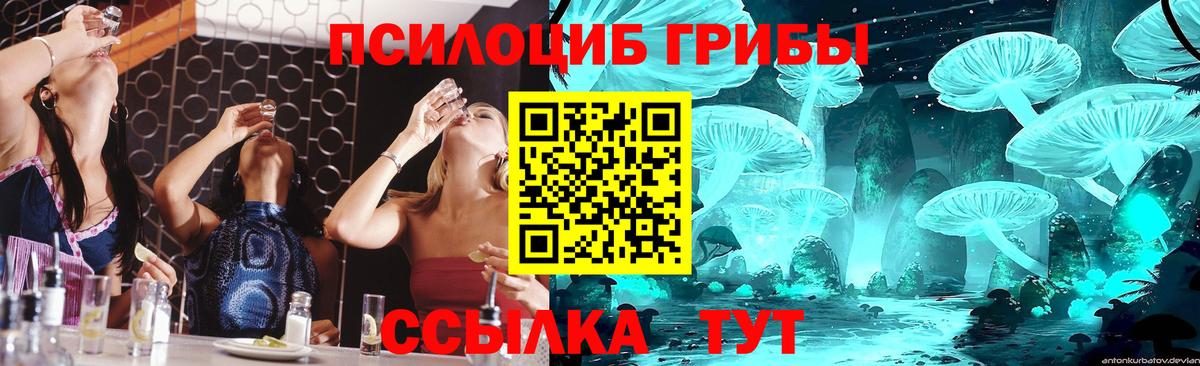 Галлюциногенные грибы Magic Shrooms Коммунар