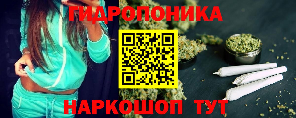 Коммунар  Конопля Amnesia  Канабис конопля  Канабис сатива  Вход с VPN 